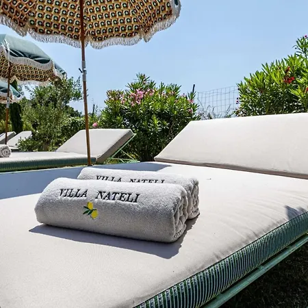 No Chichi - 12br-33p - Collines *